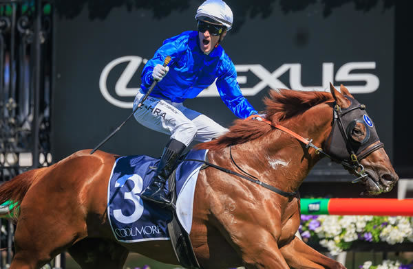 Tentyris and Mark Zahra are a winning team - image Grant Courtney