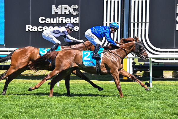 G1 Coolmore Stakes Next Time Out For Tentyris - Pat Scala/Racing Photos