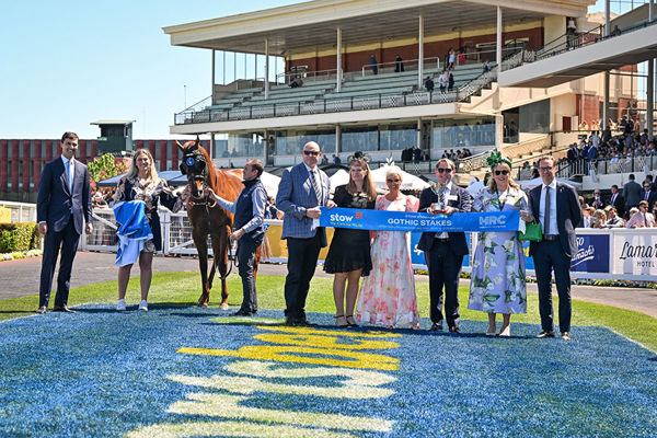 Pedigree And Race Performance - All He Needs Is The Elusive G1 Win - Image Pat Scala/Racing Photos