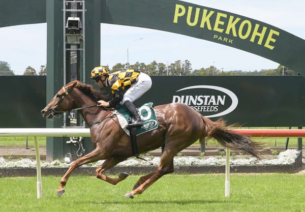 Terra Mitica pleased when winning her 1300m heat at the Cambridge Synthetic trials on Tuesday.  Photo: Kenton Wright (Race Images)