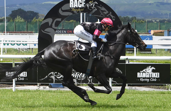 Trainer Robbie Patterson has a big opinion of three-year-old filly Terziere Photo: Race Images PN