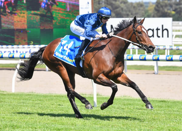 Tessa's Choice salutes at Ballarat - image Pat Scale / Racing Photos 