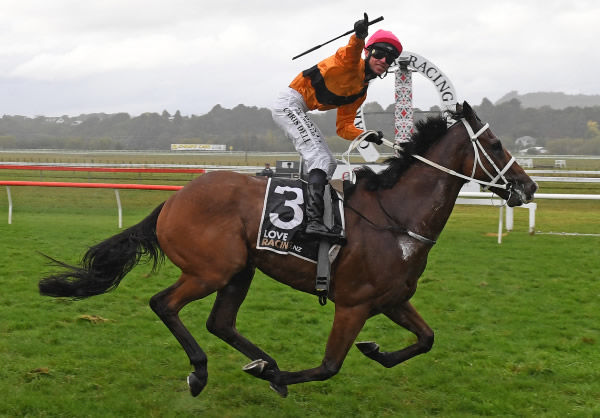 Testify Me's victory in Saturday’s Listed Hawke’s Bay Cup (2200m) at Otaki.  Photo: Peter Rubery (Race Images PN)