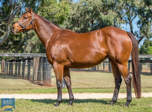 Tetsuko will be offered at MM National as Lot 1084, click to see her page.