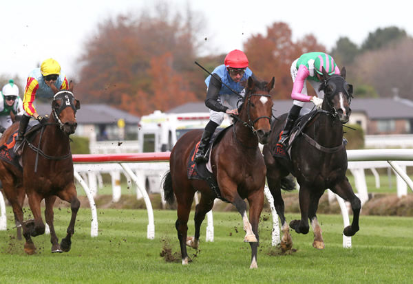 Tevere (centre) breaks her maiden status with a comprehensive victory at Te Rapa Photo Credit: Trish Dunell