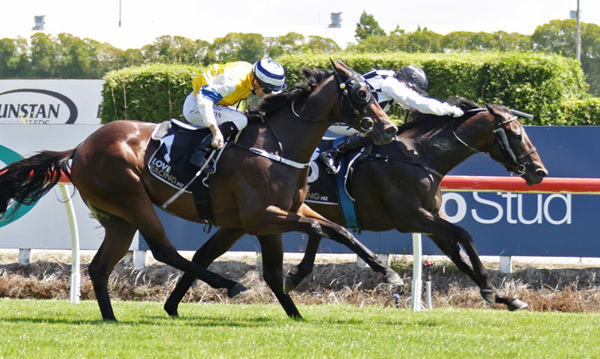 That's Gold (inside) winning the $350,000 Sir Patrick Hogan Karapiro Classic (1600m) at Te Rapa on Saturday.  Photo: Kenton Wright (Race Images)