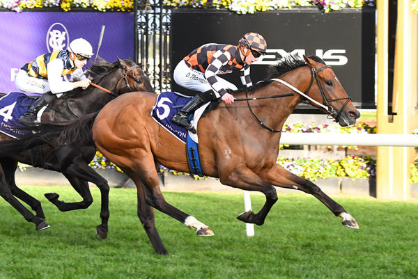 The Astrologist wins the G3 Aurie's Star - image Pat Scala / Racing Photos