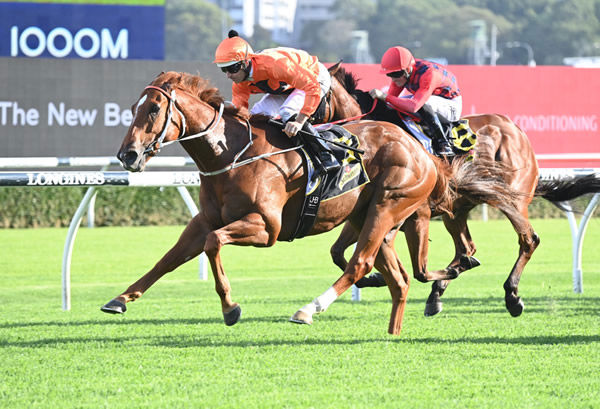 The Bopper wins at Randwick - image Steve Hart