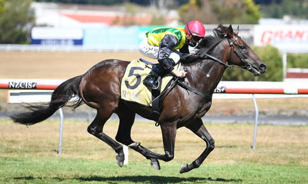 The Chosen One and rider Matt Cameron are well clear as they head to the finish of the Gr.1 Harcourts Thorndon Mile (1600m) at Trentham Photo Credit: Race Images – Peter Rubery