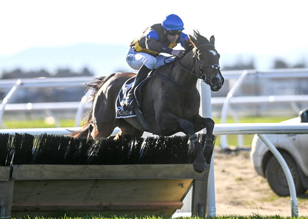 The Cossack pictured on his way to winning the Grand National Hurdles (4200m) at Riccarton on Wednesday. Photo: Race Images South