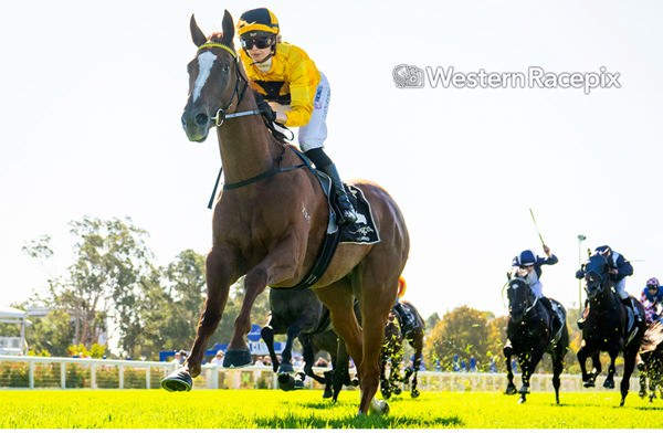 The Crimson Pirate wins the Listed Lex Piper Stakes - image Western Racepix