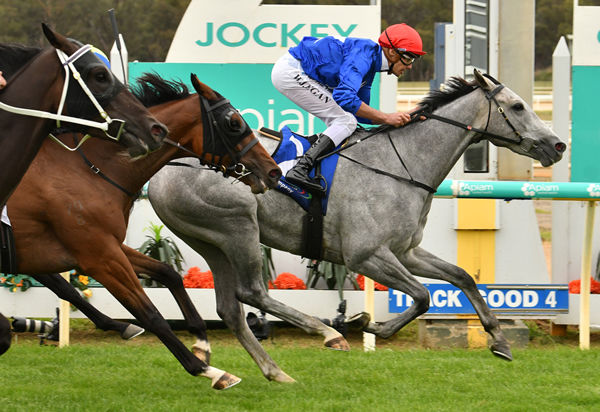 The Cunning Fox digs deep to score at Bendigo Photo Credit: Quentin Lang