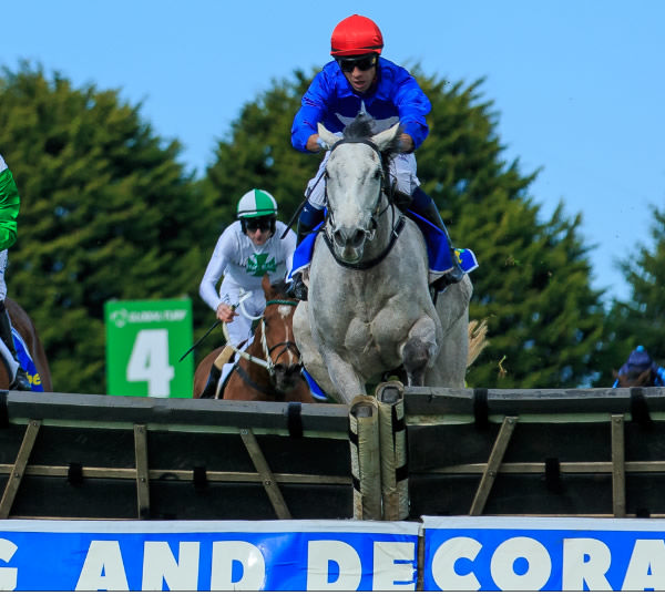 The Cunning Fox has won three in a row over the jumps - image Grant Courtney