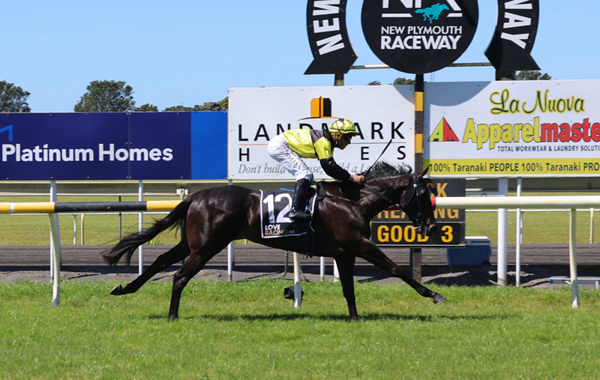 The Dirty Dee winning on debut at New Plymouth on Wednesday. Photo: Jane Davidson (Race Images)