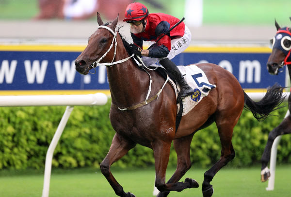 The Golden Scenery wins the G3 Celebration Cup at Sha Tin - image HKJC