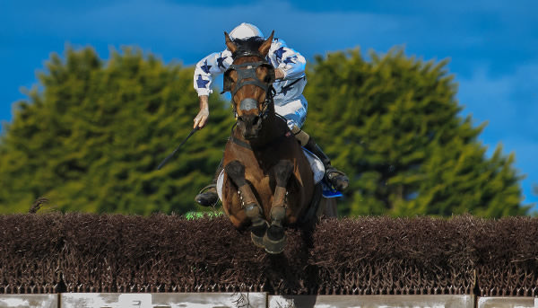 The Good Fight wins the GN Steeplechase - image Grant Courtney