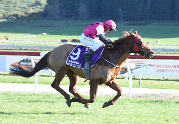 The Good Shepherd winning at Oamaru on Wednesday. Photo: Tayler Strong (Race Images)