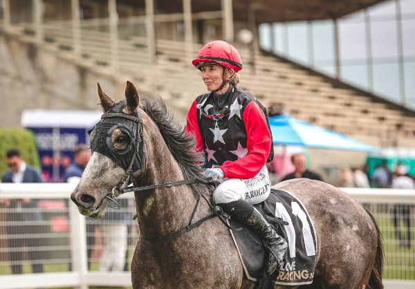 The Grey Goose pictured following her win at Wingatui earlier this month.  Photo: Monica Toretto