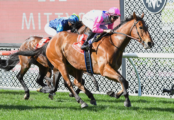The Inferno wins the G2 McEwen Stakes - image Pat Scala / Racing Photos