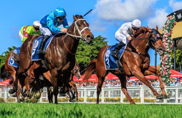 The Machine Gun in blinkers gets his nose ahead of Klocke - -image Grant Courtney
