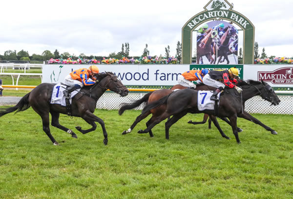 The Perfect Pink (outer) gets in the deciding stride to down stablemates Shepherd’s Delight and Belle En Rouge in a titanic finish to the Gr.1 Barneswood Farm New Zealand 1000 Guineas (1600m) Photo Credit: Race Images South