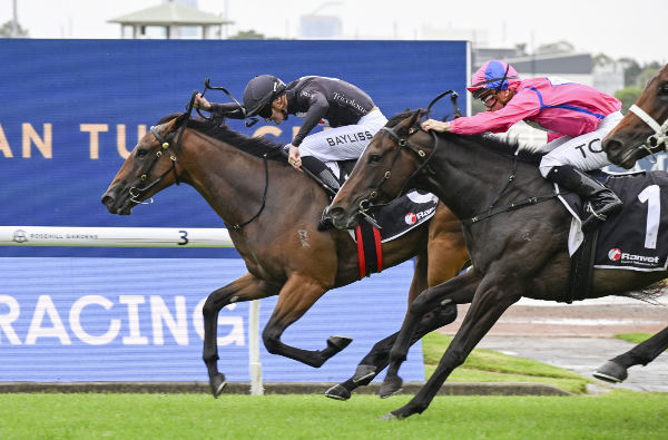 The Playwright wins on debut at Rosehill - image Steve Hart