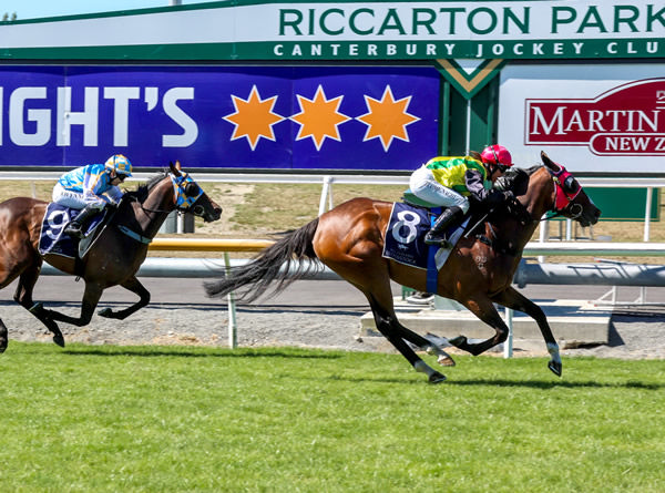 The Radiant One wins the Listed Speight’s Timaru Stakes (1400m) victory on Saturday.  Photo: Race Images South