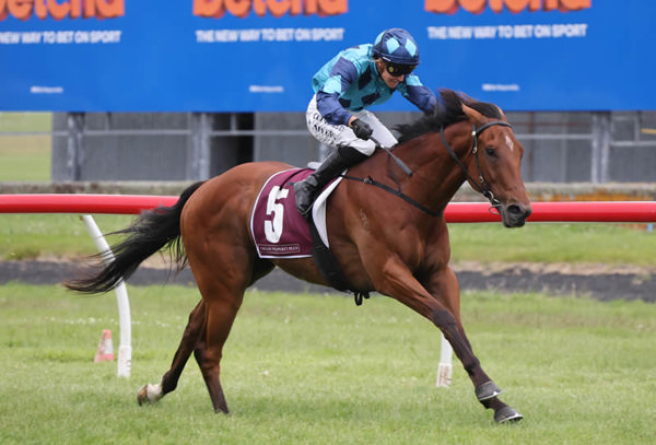 The Scunner winning the Gr.3 Taylor Property Plus Spring Sprint (1400m) at Trentham.  Photo: Peter Rubery (Race Images)