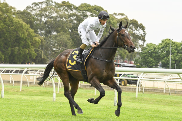 The Three Hundred has ended the season with a G3 victory - image Bradley Photography