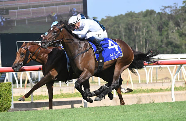 The Three Hundred gets up to win the Wyong MM 3YO and 4YO - image Wyong RAce Club Twitter 