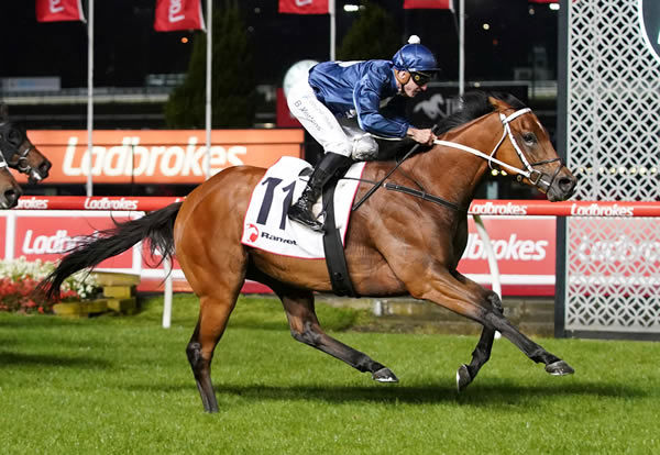 The Awesome Son wins impressively  at Moonee Valley - image Scott Barbour / Racing Photos  