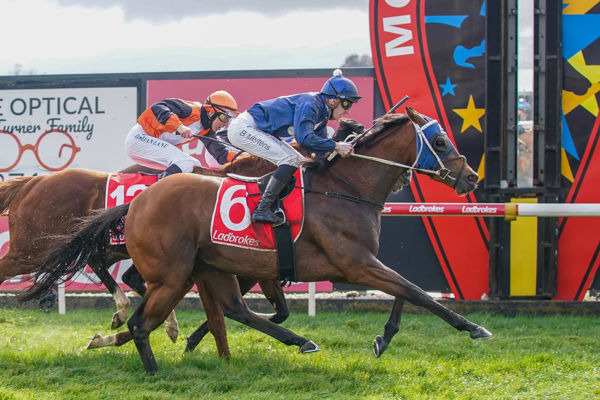 The Awesome Son breaks his maiden  (image Scott Barbour/Racing Photos)