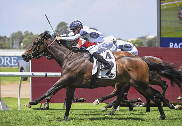 Thebudgiesmugla claims his second win at Rosehill in a matter of weeks for trainer Bjorn Baker. Photo: bradleyphotos.com.au