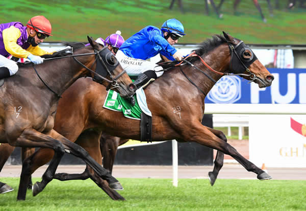 Thermosphere wins the G2 Edward Manifold Stakes - image Pat Scala / Racing Photos