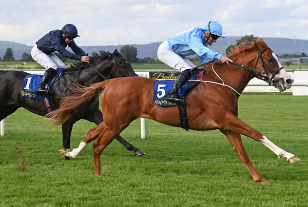 Thesecretadversary defeats Wootton Bassett colt Brussels to win the Listed Churchill Stakes - image Coolmore 