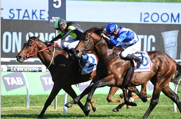 Think About It wins the Premier on the inside in the Proven Thoroughbreds colours - image Steve Hart
