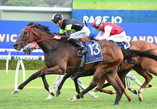 Think About It wins his fifth race from six starts at Randwick - image Steve Hart