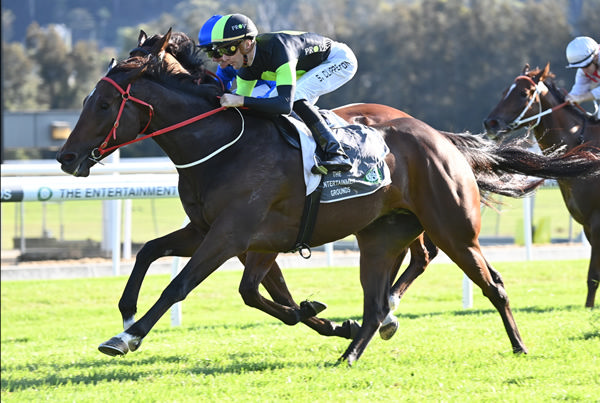 Think About It wins the Takeover Target, Queensland next - image Steve Hart 