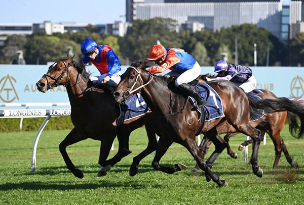 Think It Over outguns Zaaki to win the Channel 7 Stakes - image Steve Hart