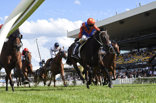 Think It Over wins the G1 George Ryder Stakes - image Steve Hart