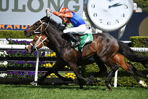 Think It Over wins the G2 Hill Stakes - image Steve Hart