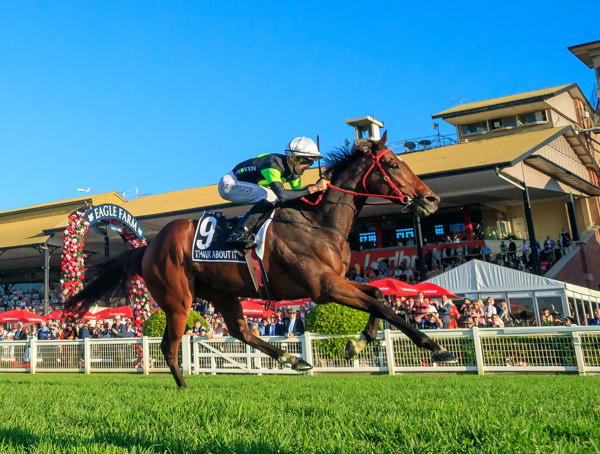 Think About It wins the Stradbroke - image Grant Courtney