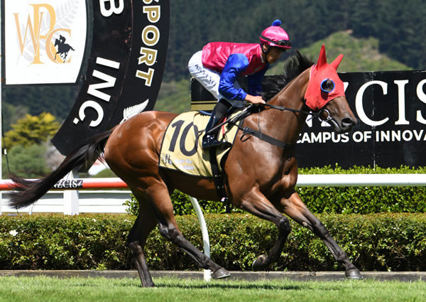 Third Time Round will contest the Listed Grangewilliam Stud "'Derryn" Oaks Prelude (1800m) at New Plymouth on Friday. Photo: Race Images