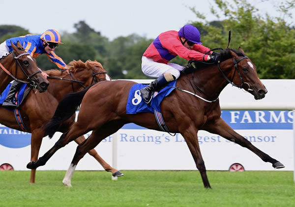 Thornbrook wins a hot maiden at Leopardstown - image Coolmore