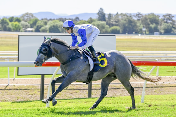 Three Arrows gets the cash at Hawkesbury - image Bradley Photos