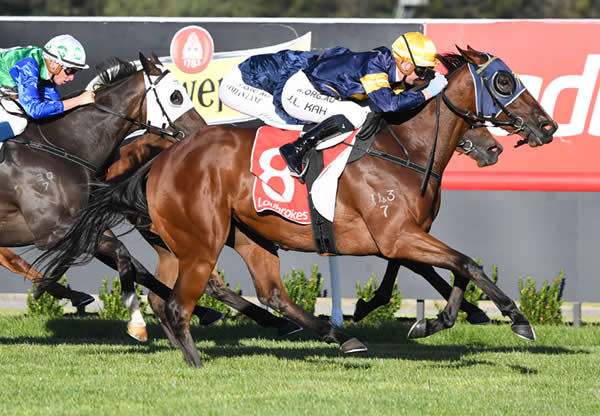 Thunder Peak wins at Sandown - image Pat Scala Racing Photos.