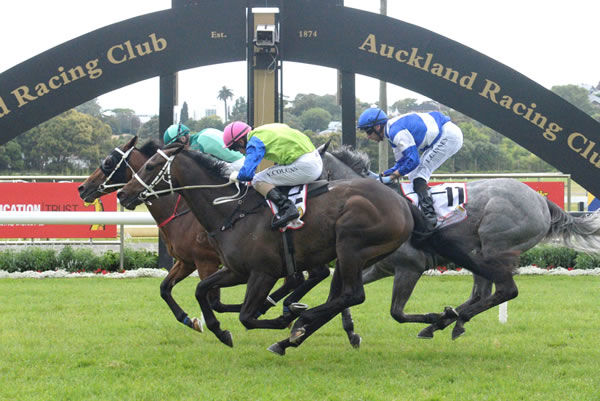 Derby Horse: Shocking’s Tibetan (pink cap) storms home late in Sunday’s Listed 3YO Salver at Ellerslie.