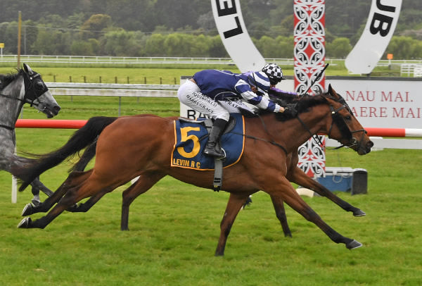 Tikemyson (outside) winning at Otaki on Thursday. Photo: Peter Rubery (Race Images Palmerston North)