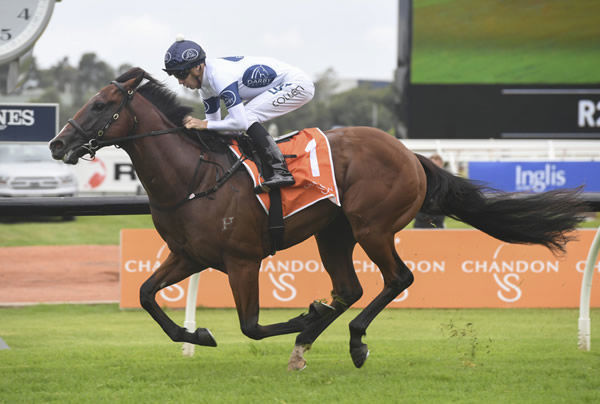 Time to Reign won the G2 Silver Slipper for Darby Racing with Tassort a distant second - image Steve Hart 