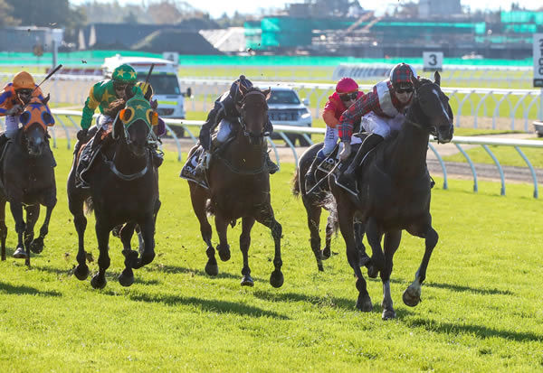 Times Ticking is clear in the Gr.3 Coca Cola Canterbury Gold Cup (2000m) Photo: Race Images South